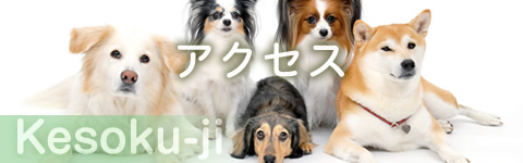 kesokuji_アクセス