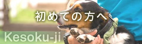 kesokuji_初めての方へ
