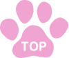 pagetop